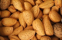 cluster of unshelled almonds